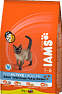 Iams Adult with Ocean Fish&Chicken 0,3kg