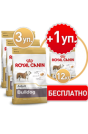 Royal Canin Adult Bulldog 12kg